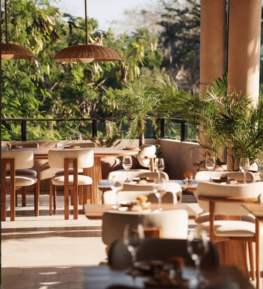 Teja's dining room, open to the trees